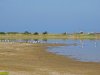 Остатки воды в лимане