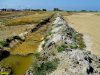 Одна из канав, по которой из лимана отводили воду