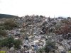 Под Геленджиком в огромную свалку превращают лесной массив