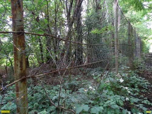 Забор, огрождающий часть лесного фонда на даче Ремезкова