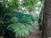 Забор вокруг дачи Ремезкова в районе села Красносельское