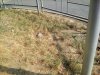 Перекресток улиц Атарбекова и Герцена
