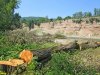 В Хадхоже по-варварски вырубили лес возле реки Белой