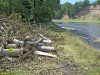 В Хадхоже по-варварски вырубили лес возле реки Белой
