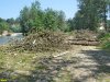 В Хадхоже по-варварски вырубили лес возле реки Белой