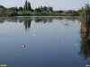Замор рыбы в реке Кочеты