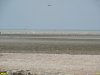 2016-08-11_Ptichiy_ostrow_DSCN0885