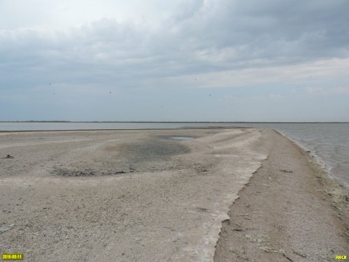 2016-08-11_Ptichiy_ostrow_DSCN0889