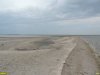 2016-08-11_Ptichiy_ostrow_DSCN0889