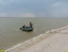Колония кудрявых пеликанов в Бейсугском лимане