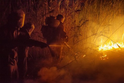 Пожар в Черновских плавнях