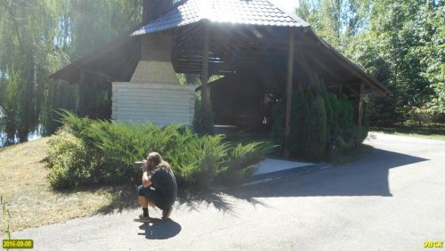 Активисты ЭкоВахты прорвались на Динскую "дачу Ремезкова"