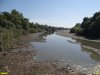 Замор рыбы в старице реки Кубань напротив Зелёного острова