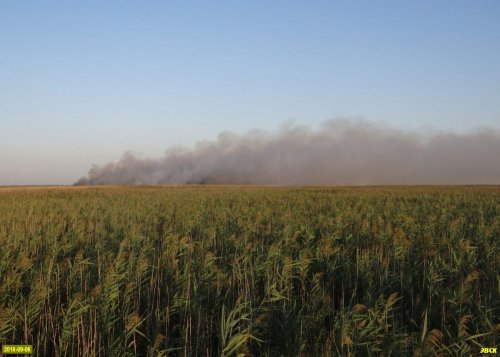 Пожар в Черновских плавнях