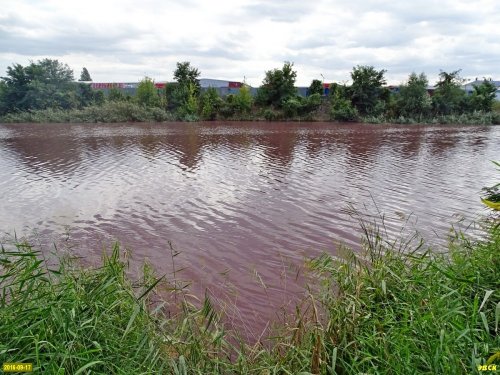 Покрасневшая вода в Горской старице
