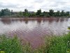 Покрасневшая вода в Горской старице