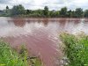 Покрасневшая вода в Горской старице