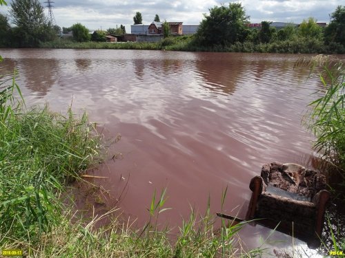 Покрасневшая вода в Горской старице