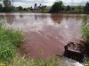 Покрасневшая вода в Горской старице