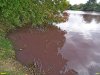 Покрасневшая вода в Горской старице