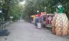Памятник природы "Чистяковская роща" в Краснодаре