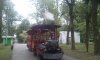 Памятник природы "Чистяковская роща" в Краснодаре