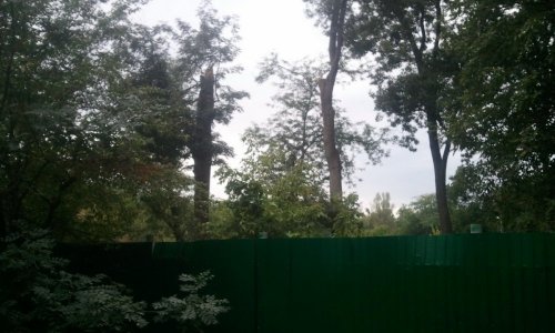 Буровые работы в памятнике природы "Чистяковская роща"