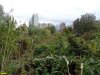 Берег Карасуна в Комсомольском районе, отданный под застройку религиозными объектами