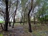 Зеленая зона на берегу Карасуна в Комсомольском районе, отданная под застройку Приходу Храма Св. Иоанна Крестителя