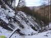 Преступные последствия строительства дороги на Энгельманову Поляну, начинающейся от финишной зоны курорта "Роза Хутор"