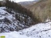 Несколько гектаров уничтоженного леса. Внизу долина реки Мзымта