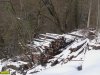 Следы преступной вырубки леса при строительстве дороги на Энгельманову Поляну