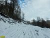 Дорога на Энгельманову Поляну. Пустыня на месте леса
