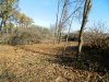  Вырубка лесного массива возле станицы Крыловской
