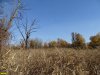 Плавни в юго-западной части Большого острова