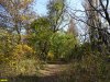  Большой остров на оз.Старая Кубань (Краснодар)