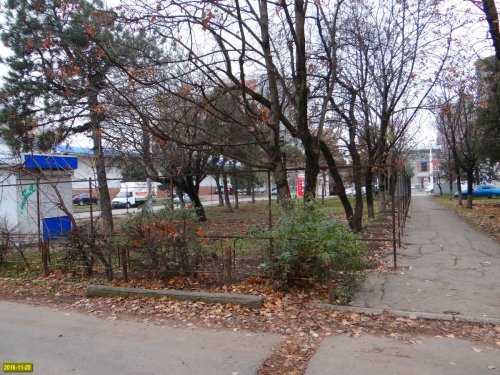 Эту часть зеленой зоны удалось спасти от застройки