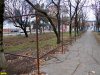 Эту часть зеленой зоны удалось спасти от застройки