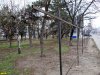 Эту часть зеленой зоны удалось спасти от застройки