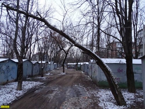 Парковка в зеленой зоне возле школы №16 