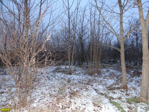 Место для размещения городского парка на улице Круговой 