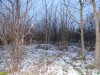 Место для размещения городского парка на улице Круговой 