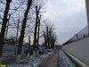 Остатки аллеи на ул. Каляева