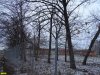 Огороженный участок с зелеными насаждениями, примыкающий к территории водозабора