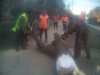 Вырубка деревьев на Ростовском шоссе