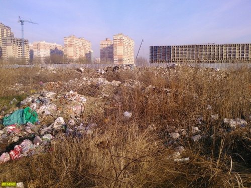 Свалка недалеко от плавней практически не пострадала