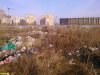 Свалка недалеко от плавней практически не пострадала