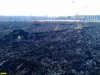 Пожар выжег значительную часть плавневой зоны