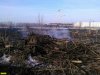 Пострадавшая от пожара растительность плавней