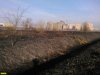Пожар выжег значительную часть плавневой зоны